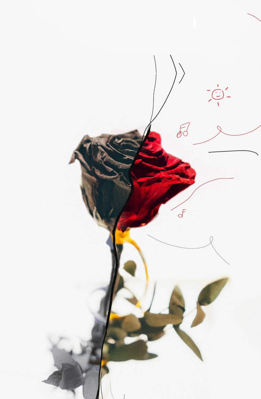 Libre de la dépression - image de rose fannée